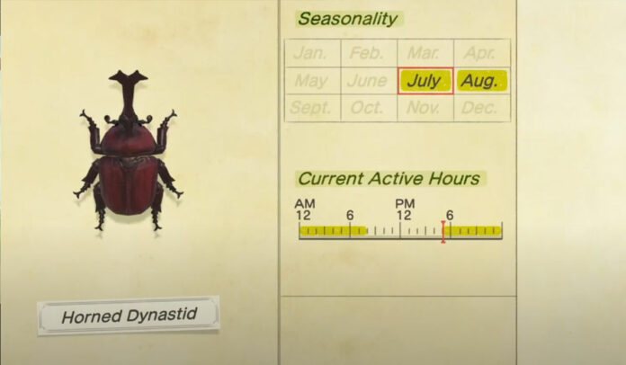 How to catch a Horned Dynastid in Animal Crossing New Horizons