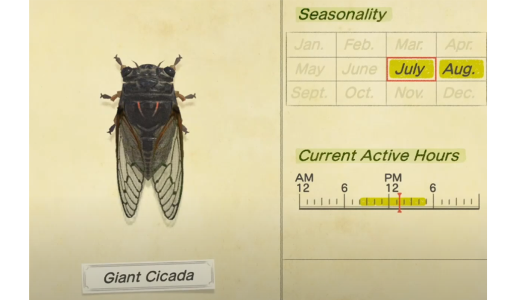 Comment attraper une cigale géante dans Animal Crossing New Horizons