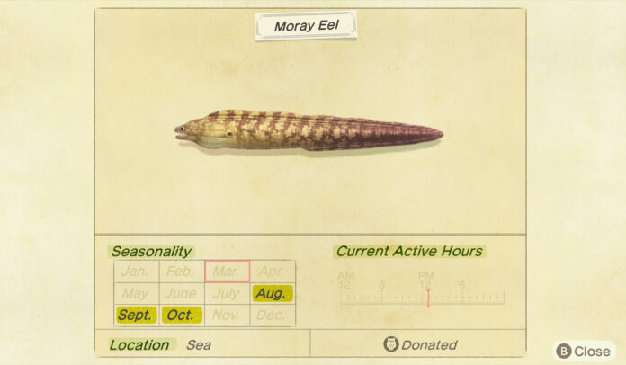 How to catch a Moray Eel in Animal Crossing New Horizons