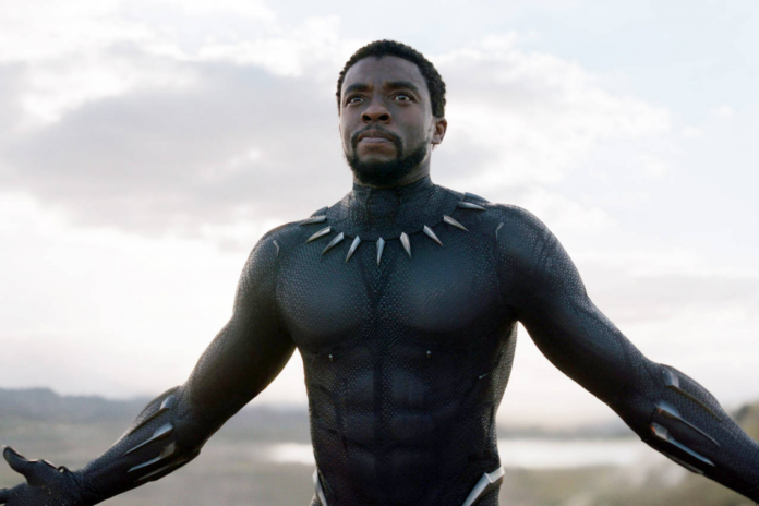 Black Panther DLC révèle un retard en raison de la mort de Chadwick Boseman
