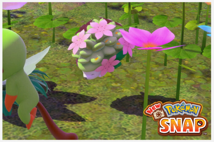 Comment compléter le mythe du parc naturel dans le nouveau Pokemon Snap
