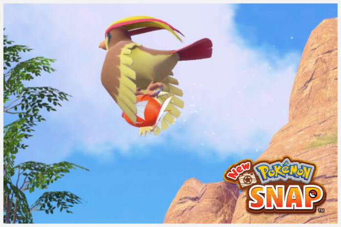 Comment terminer Flopping au bord de l'eau dans New Pokemon Snap
