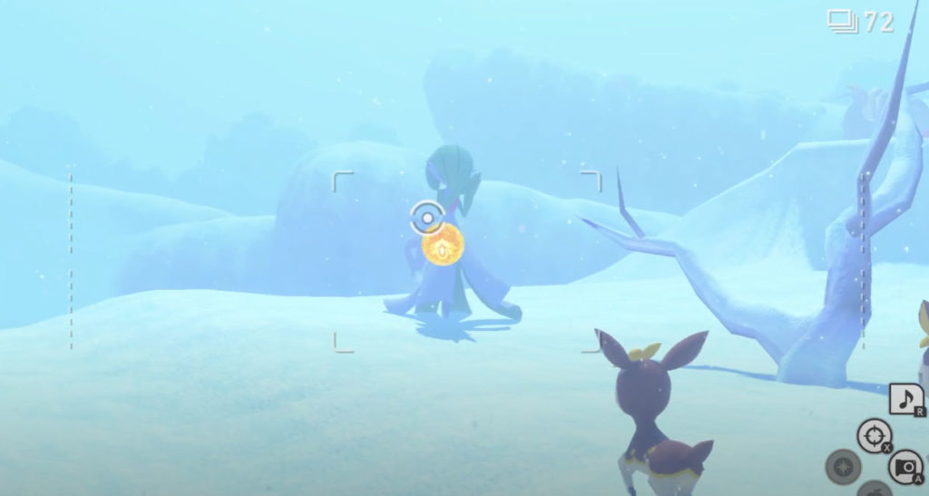 Nouveau Pokemon Snap: Winter Wonders Request Step 3