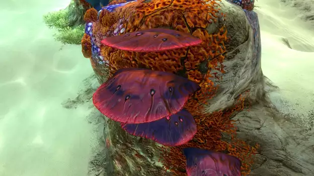 Subnautica: Sous zéro: où trouver des échantillons de corail de table