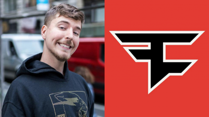  FaZe Beast?  Le PDG Banks affirme que l'organisation a raté la signature de la superstar YouTuber
