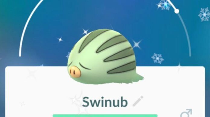 Existe-t-il un Swinub brillant dans Pokémon GO ?
