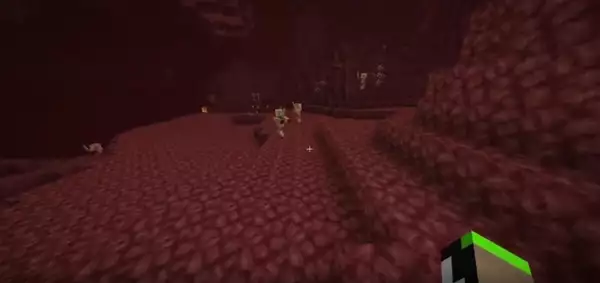 Les ennemis des rêves annulent la confession de tricherie de Minecraft Speedrun