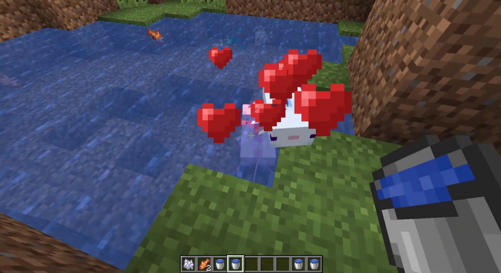 Comment apprivoiser et élever des Axolotls dans Minecraft 1.17