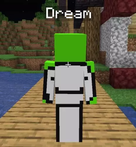 TinaKitten a soutenu Dream au milieu de la vague d'allégations selon lesquelles Dream aurait truqué le sondage de la foule de Minecraft