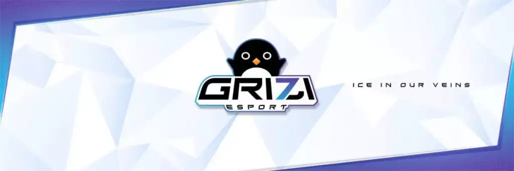 Organisation de jeux Grizi Esports