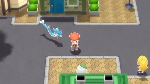 Pokemon comment marcher avec pokemon