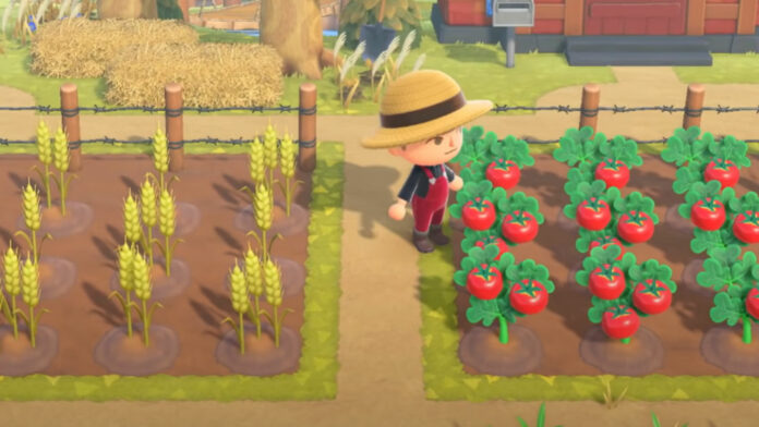 Animal Crossing New Horizons: How to Grow Crops