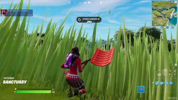 Emplacements du chapitre 3 de Fortnite Stealth Grass