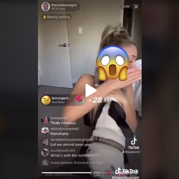 tiktok theskimaskgirl visage révèle tiktok theskimaskgirl visage révèle chien