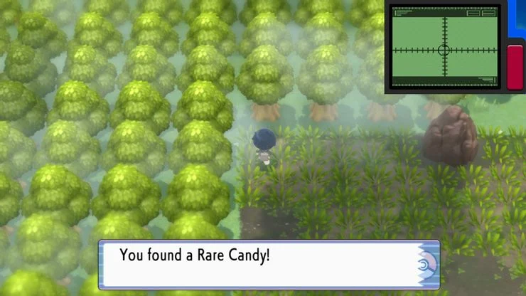 Les Bonbons Rares augmentent le niveau d'un Pokémon d'un niveau.  (Photo: Game Freak)