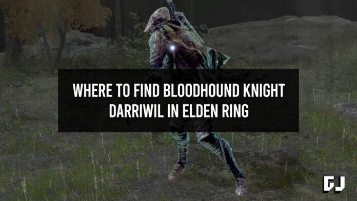 Where to Find Bloodhound Knight Darriwil in Elden Ring