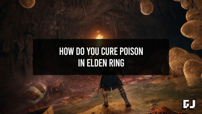 How Do You Cure Poison in Elden Ring?