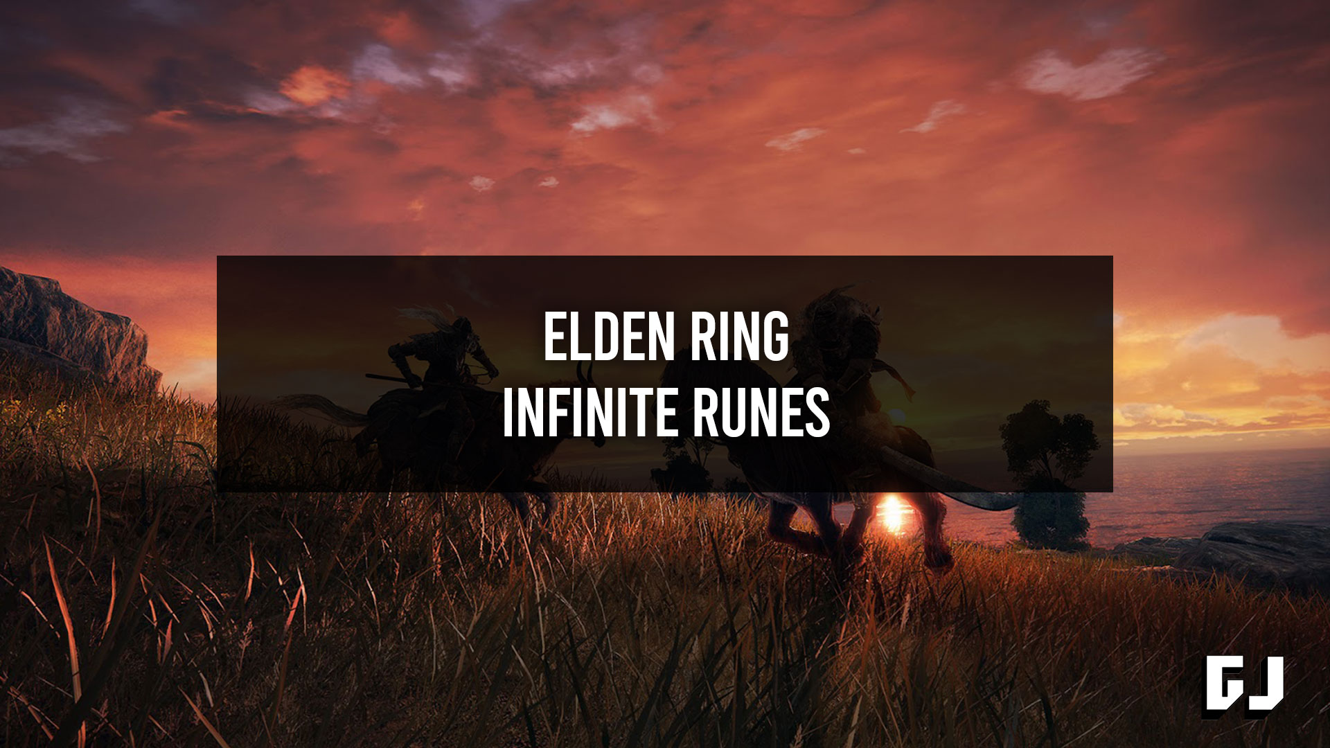 Elden Ring Infinite Runes Exploitation agricole