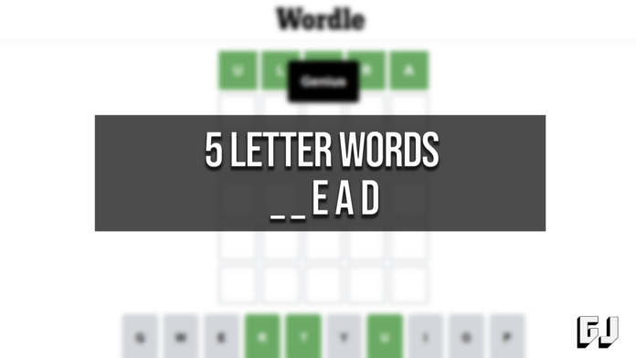 5 Letter Words Ending EAD