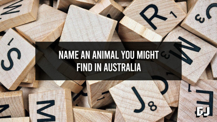 Name An Animal You Might Find in Australia - Word Clue