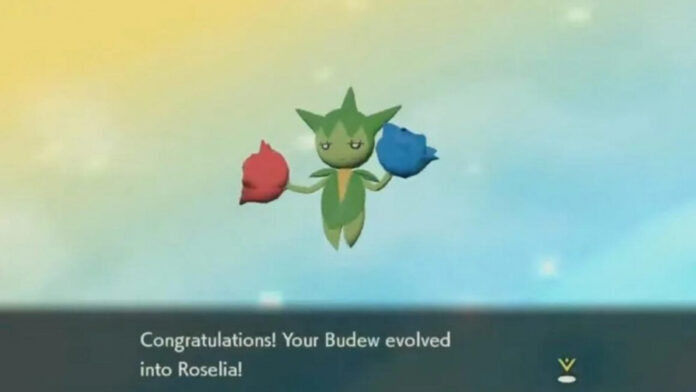 Comment faire évoluer Budew dans Pokémon Legends Arceus
