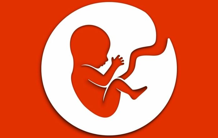 How to Become a Journalist in BitLife