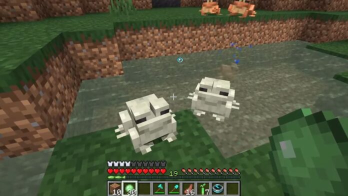 Minecraft - La mise à jour sauvage : où trouver et apprivoiser les grenouilles
