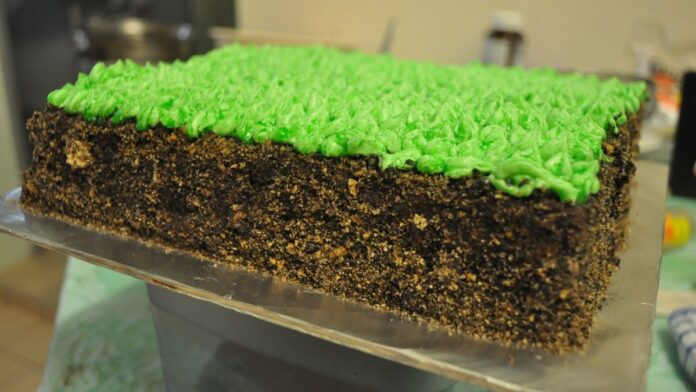 Realistic Grass Block Cake