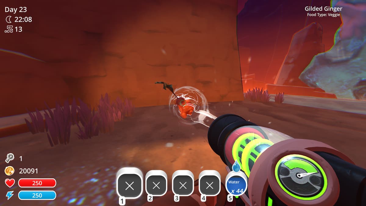 vacciner le gingembre doré dans le slime rancher