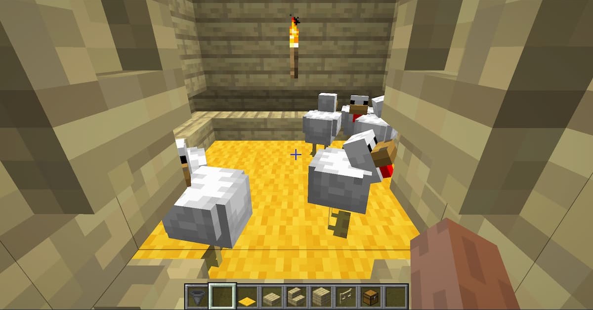 poulets en cage dans Minecraft