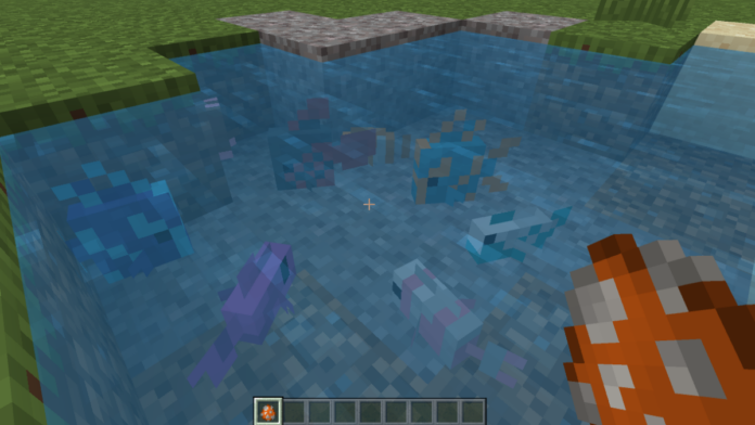 Tropical Fish in Minecraft