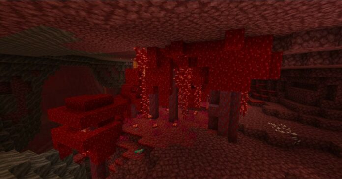 crimson forest in minecraft