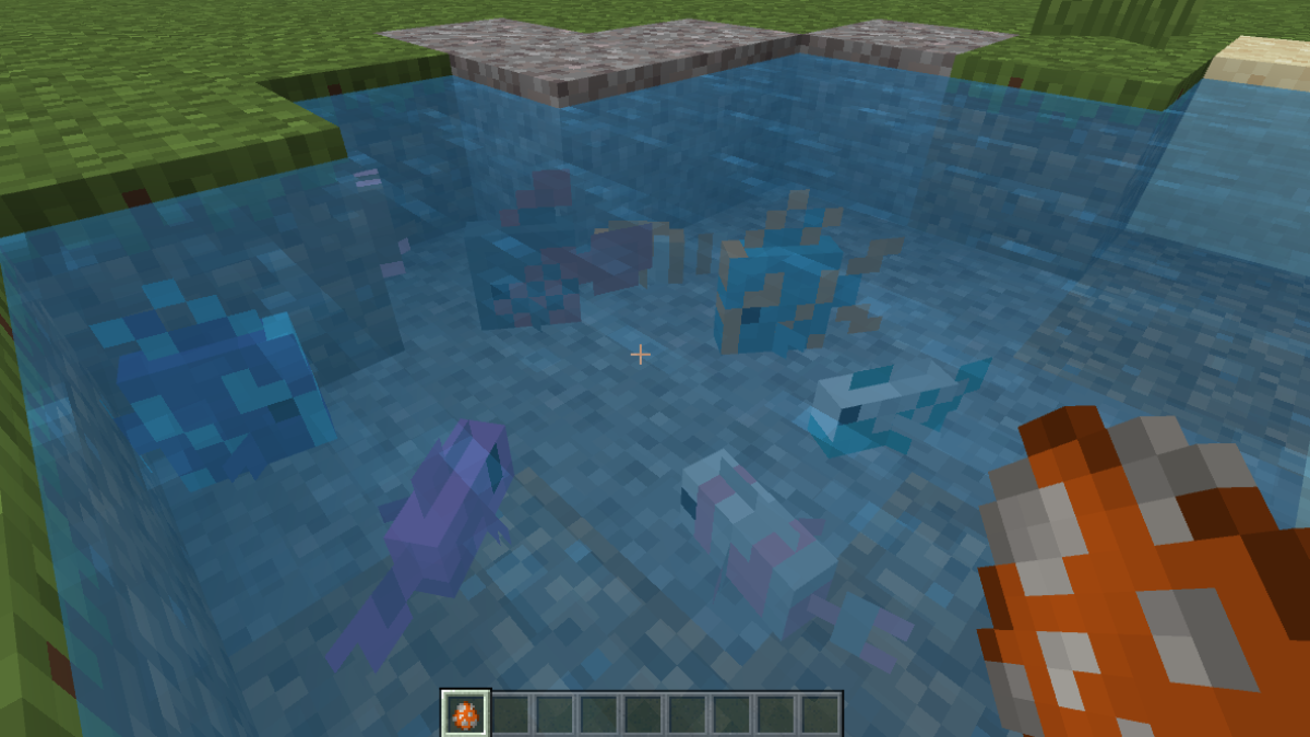 Poissons tropicaux dans Minecraft