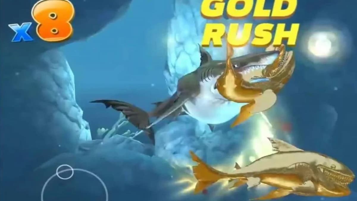 monde des requins affamés megalodon ruée vers l'or