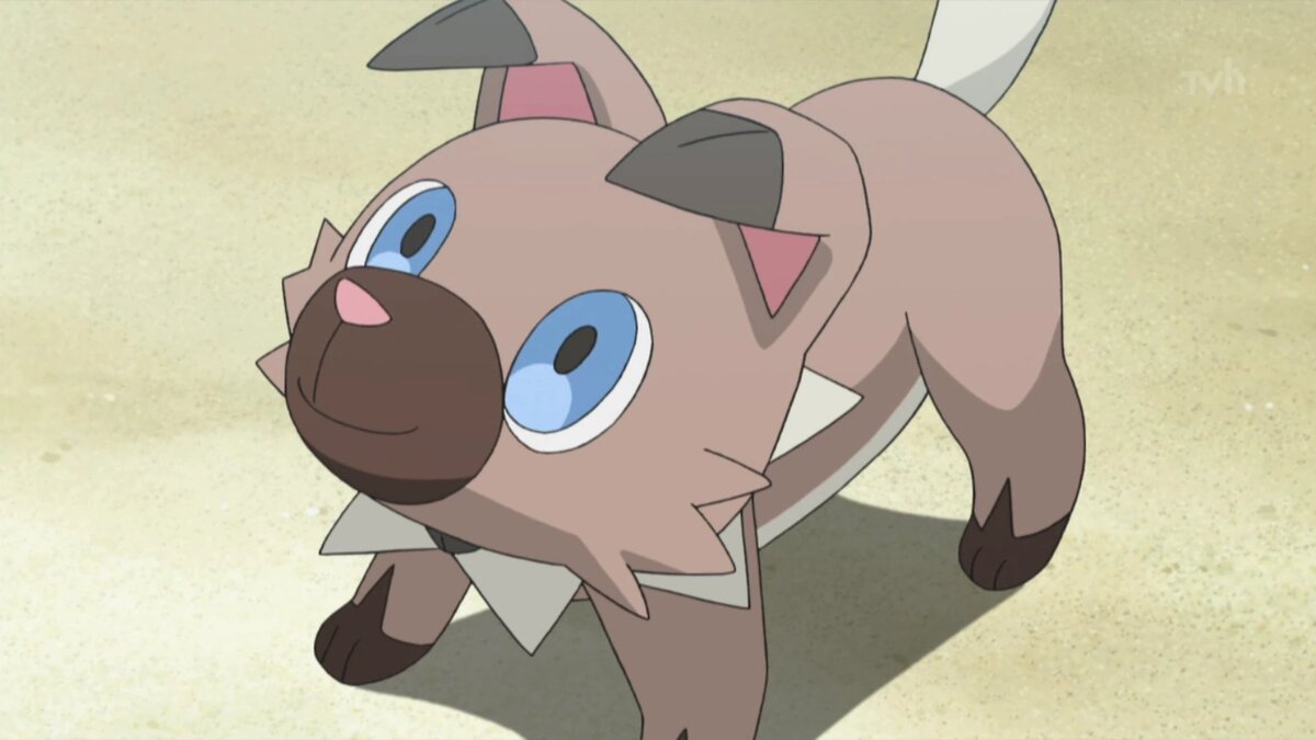 pokemon rockruff