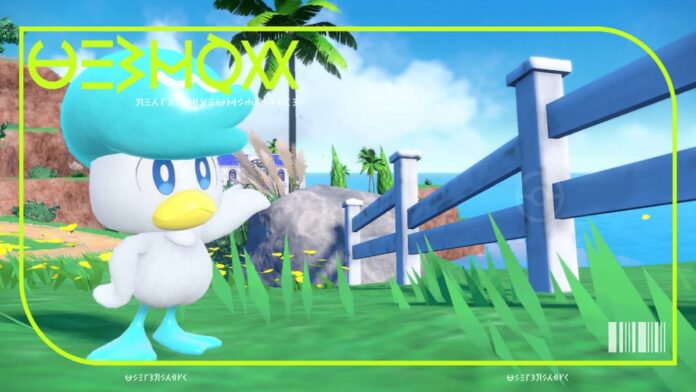 Voici un aperçu de l'évolution finale de Quaxly dans Pokemon Scarlet et Violet
