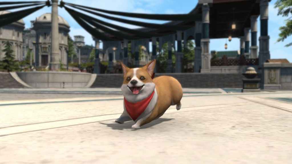 corgi ff14