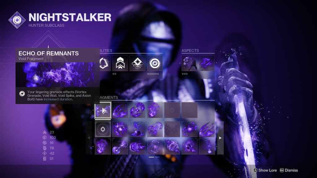 Meilleure construction de Rat King dans Destiny 2 - Void Hunter Fragments. 