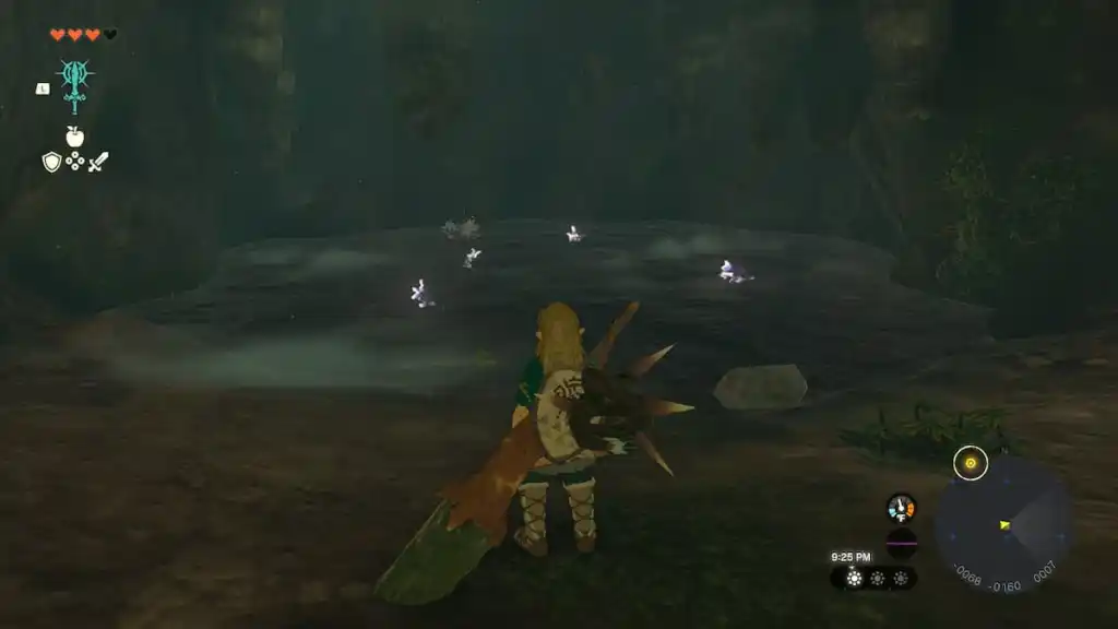 Où trouver des poissons brillants dans Zelda Tears of the Kingdom - Emplacement de la grotte image sélectionnée