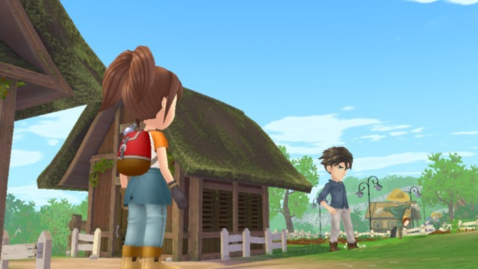 Story of Seasons: A Wonderful Life