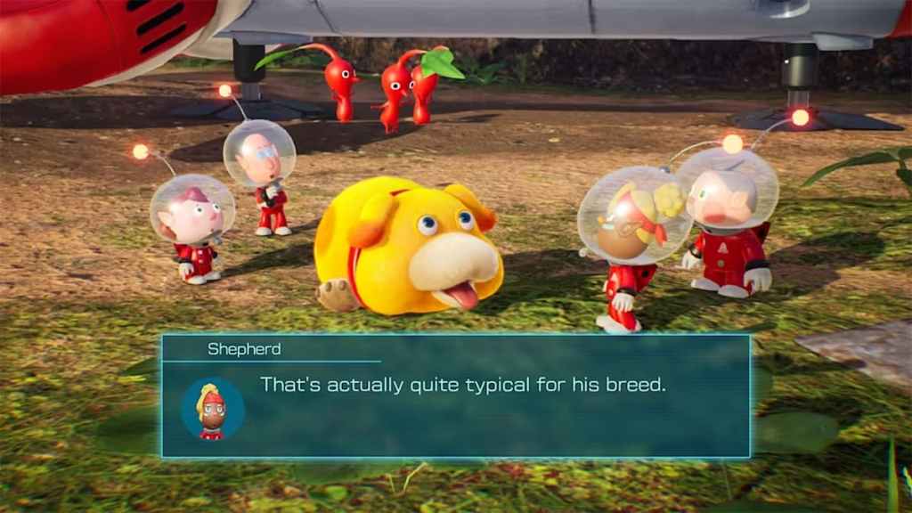 Comment gagner des points Pup Drive dans Pikmin 4 Shepard